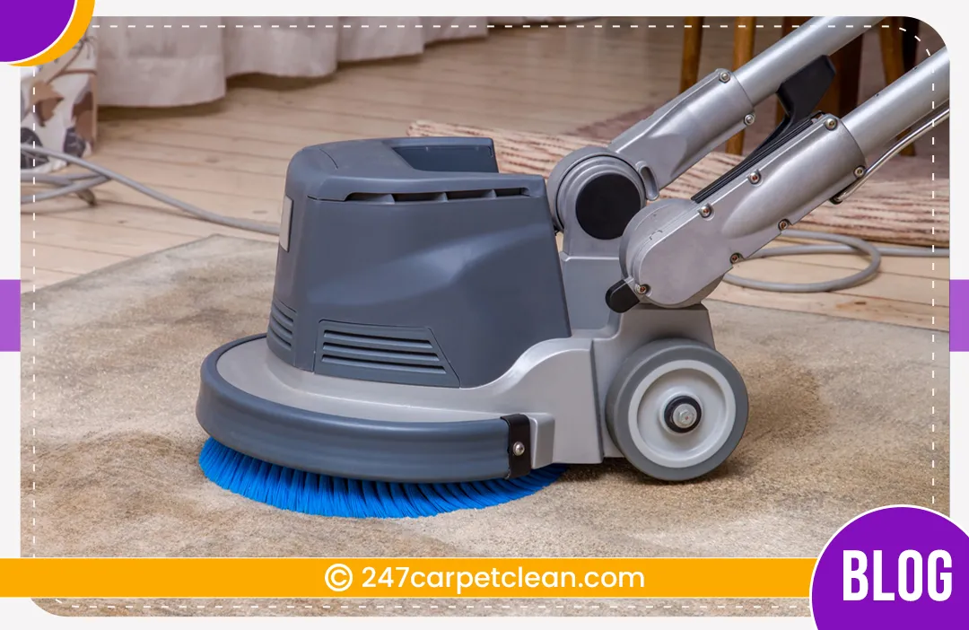 carpet cleaners in Bronx, carpet cleaning in Bronx, carpet cleaning bronx, carpet cleaners in bronx,  commercial carpet cleaning, commercial carpet cleaning in bronx,carpet cleaning in bronx,  bronx rug cleaners, rug cleaning services in bronx, same day carpet cleaning, same day rug cleaning