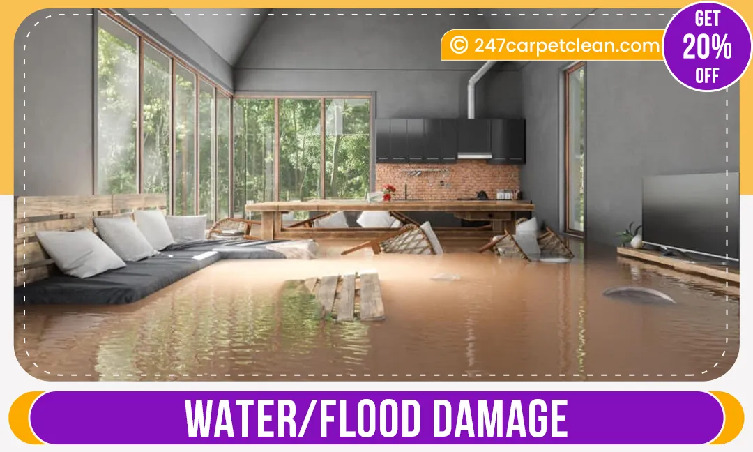 carpet cleaners in Bronx, carpet cleaning in Bronx, carpet cleaning bronx, carpet cleaners in bronx,  commercial carpet cleaning, commercial carpet cleaning in bronx,carpet cleaning in bronx,  bronx rug cleaners, rug cleaning services in bronx, same day carpet cleaning, same day rug cleaning