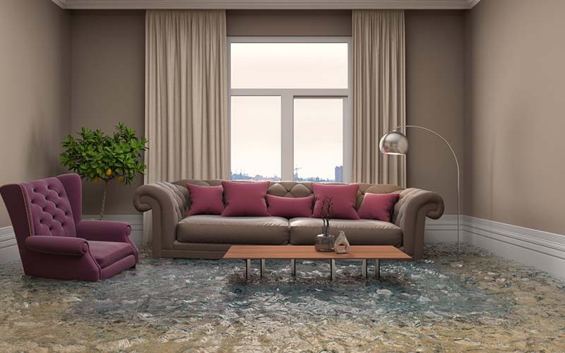 carpet cleaners in Bronx, carpet cleaning in Bronx, carpet cleaning bronx, carpet cleaners in bronx,  commercial carpet cleaning, commercial carpet cleaning in bronx,carpet cleaning in bronx,  bronx rug cleaners, rug cleaning services in bronx, same day carpet cleaning, same day rug cleaning