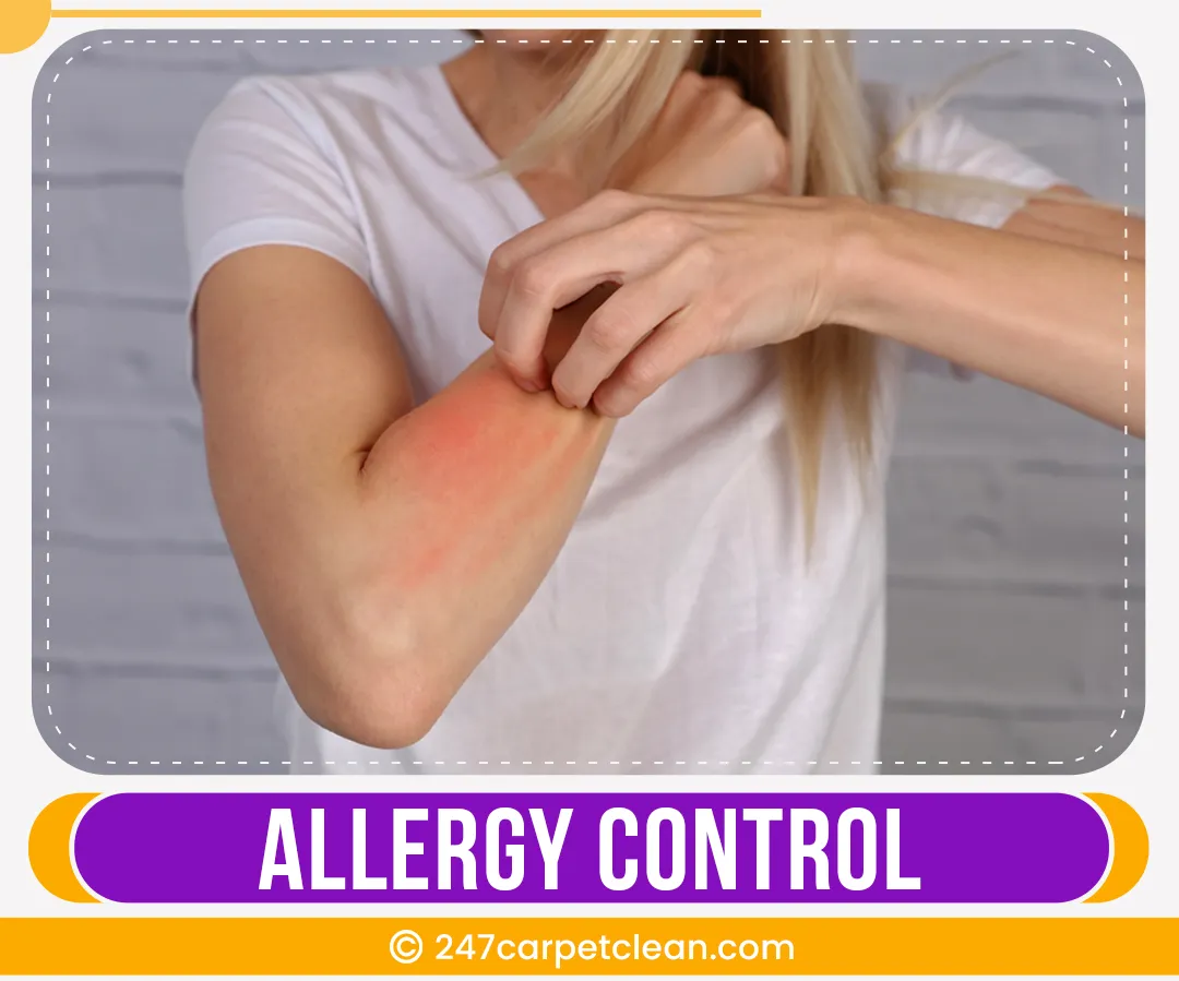 carpet cleaners in Bronx, carpet cleaning in Bronx, carpet cleaning bronx, carpet cleaners in bronx,  commercial carpet cleaning, commercial carpet cleaning in bronx,carpet cleaning in bronx,  bronx rug cleaners, rug cleaning services in bronx, same day carpet cleaning, same day rug cleaning