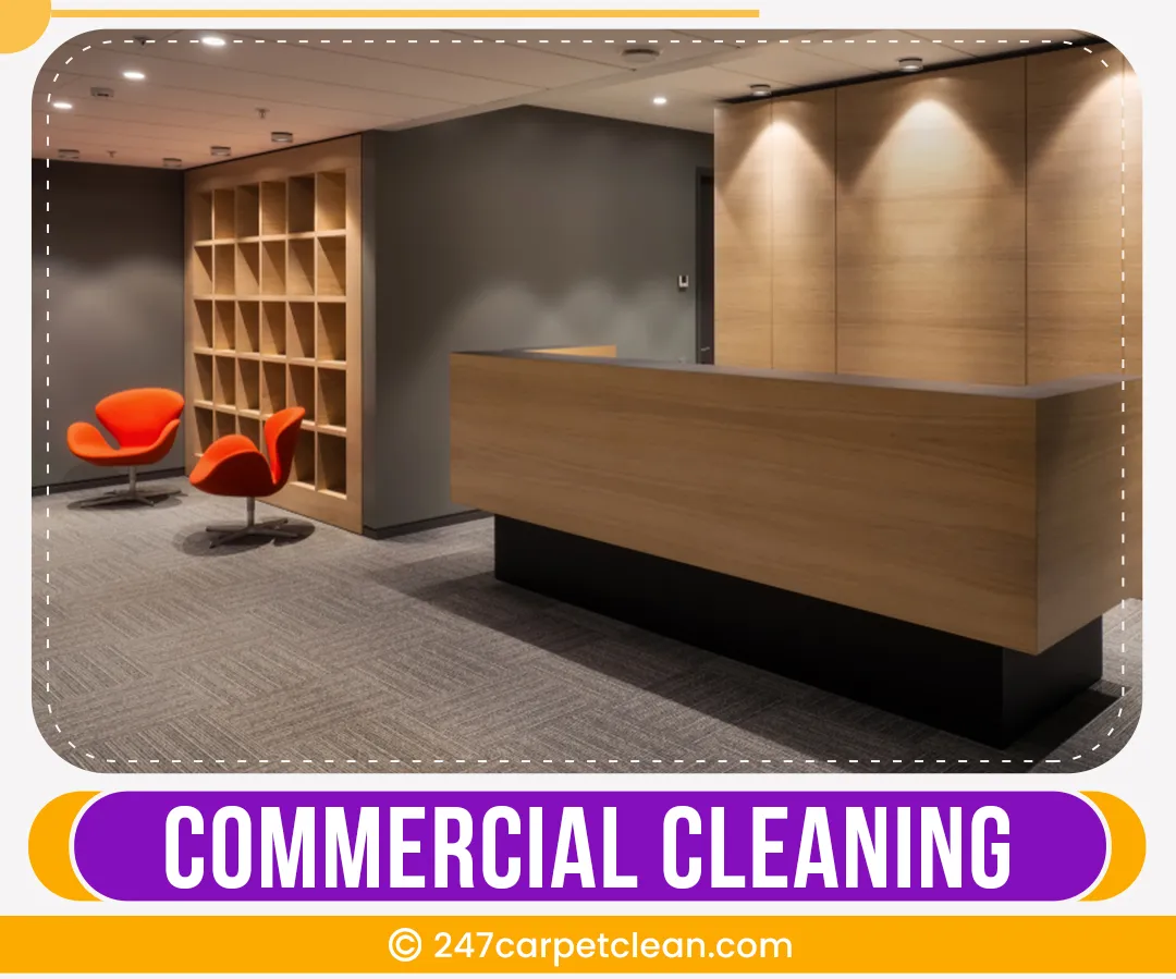 carpet cleaners in Bronx, carpet cleaning in Bronx, carpet cleaning bronx, carpet cleaners in bronx,  commercial carpet cleaning, commercial carpet cleaning in bronx,carpet cleaning in bronx,  bronx rug cleaners, rug cleaning services in bronx, same day carpet cleaning, same day rug cleaning