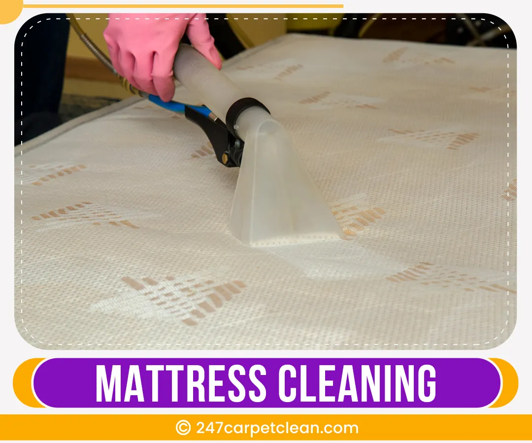 carpet cleaners in Bronx, carpet cleaning in Bronx, carpet cleaning bronx, carpet cleaners in bronx,  commercial carpet cleaning, commercial carpet cleaning in bronx,carpet cleaning in bronx,  bronx rug cleaners, rug cleaning services in bronx, same day carpet cleaning, same day rug cleaning